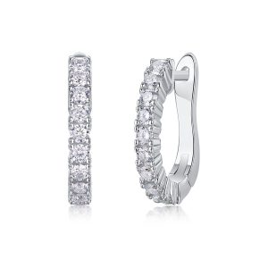 S925 Silver  Modern Guide Stud Earrings
