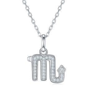 S925 Silver  12 Zodiac Signs necklace 2026